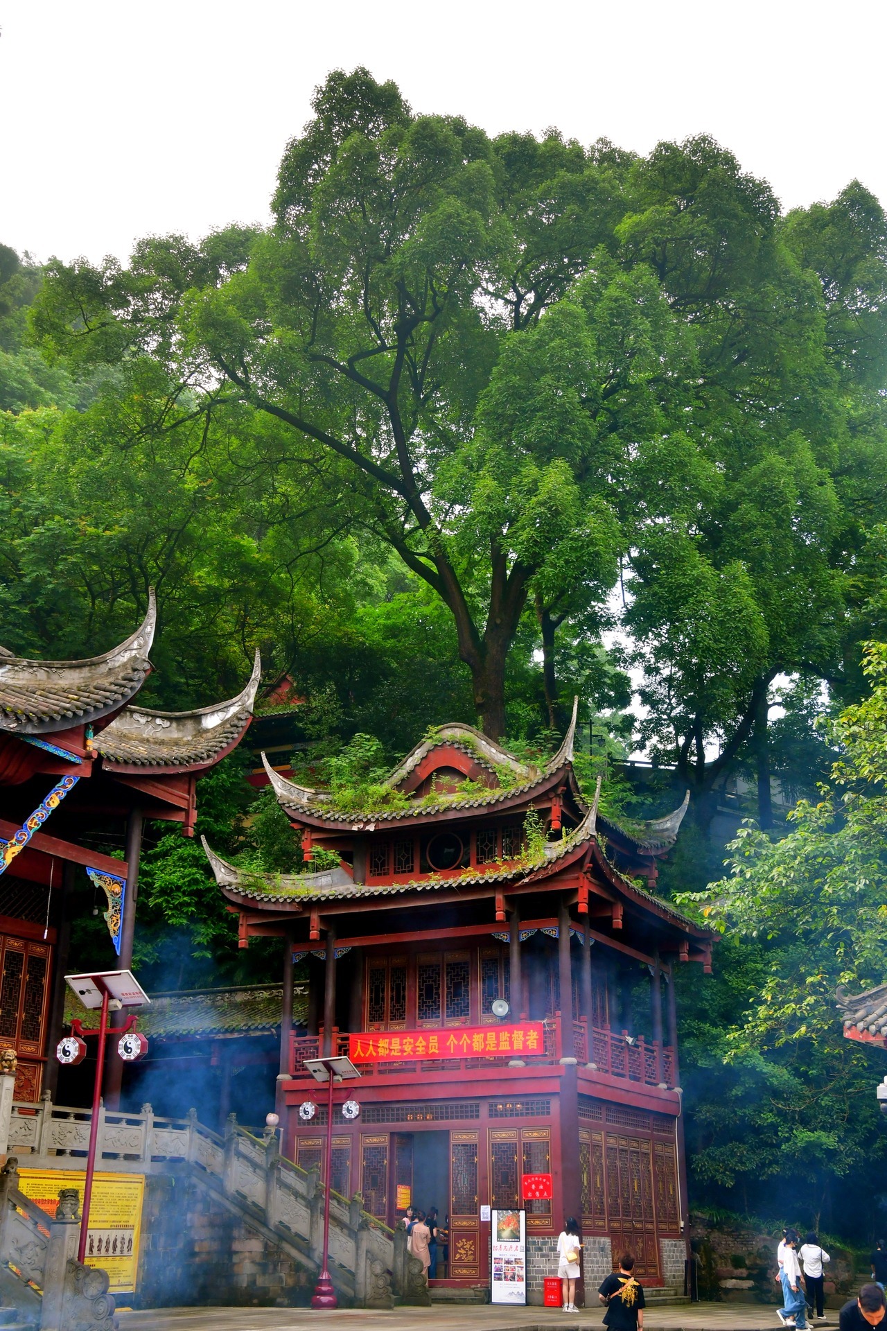 道家法事道场情人阅读四步法指什么